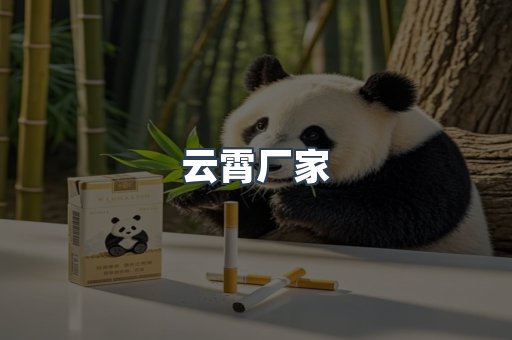 云霄厂家